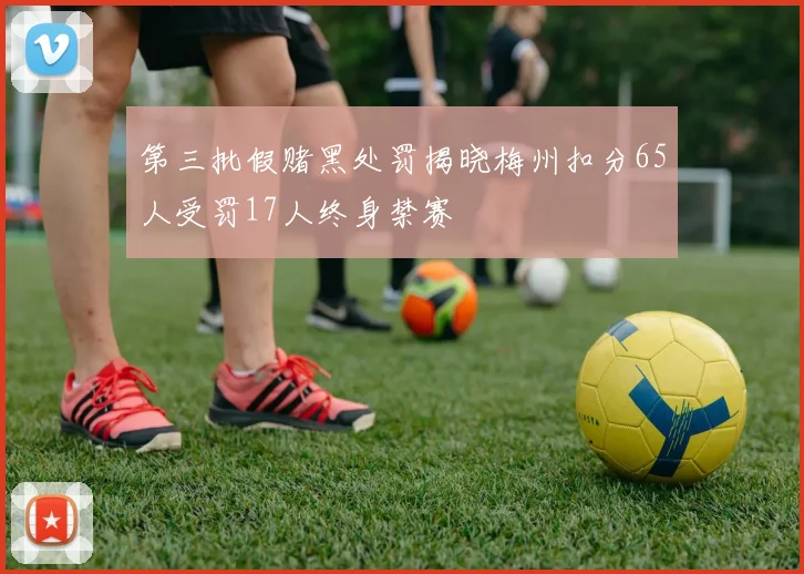 第三批假赌黑处罚揭晓梅州扣分65人受罚17人终身禁赛