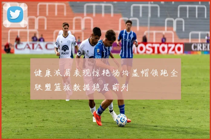 健康浓眉表现惊艳场均盖帽领跑全联盟篮板数据稳居前列