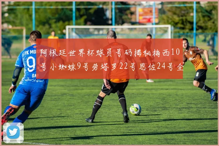 阿根廷世界杯球员号码揭秘梅西10号小蜘蛛9号劳塔罗22号恩佐24号全解析